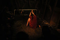 Photo Credit: Freya Ludowici